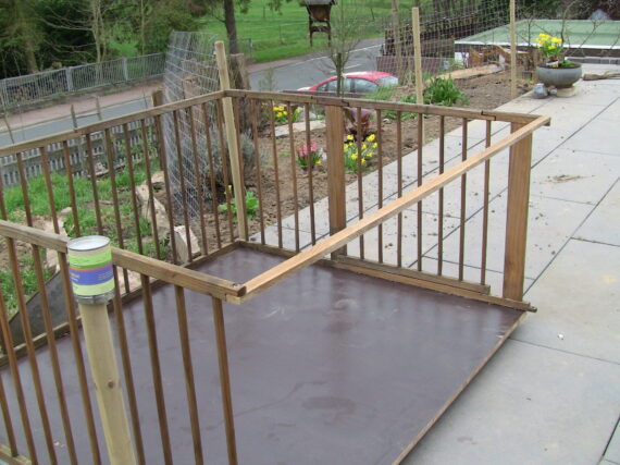 Bilder Hr.Kutt und Schwarm 001