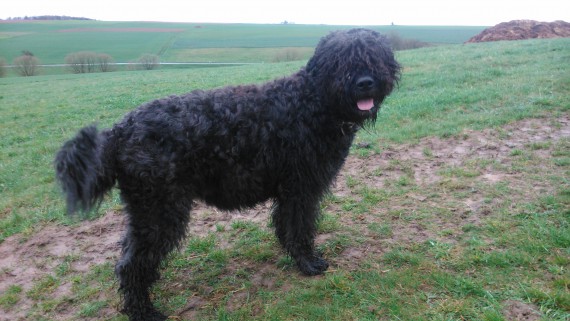 Jetzt sieht man´s aber