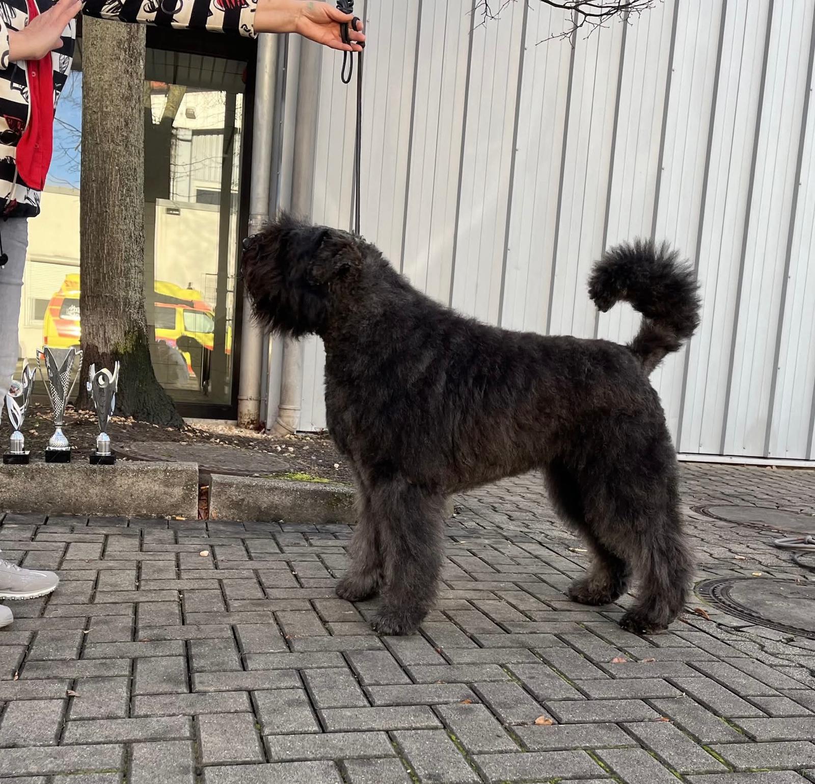 ESHRA in Kassel 12.1.2025