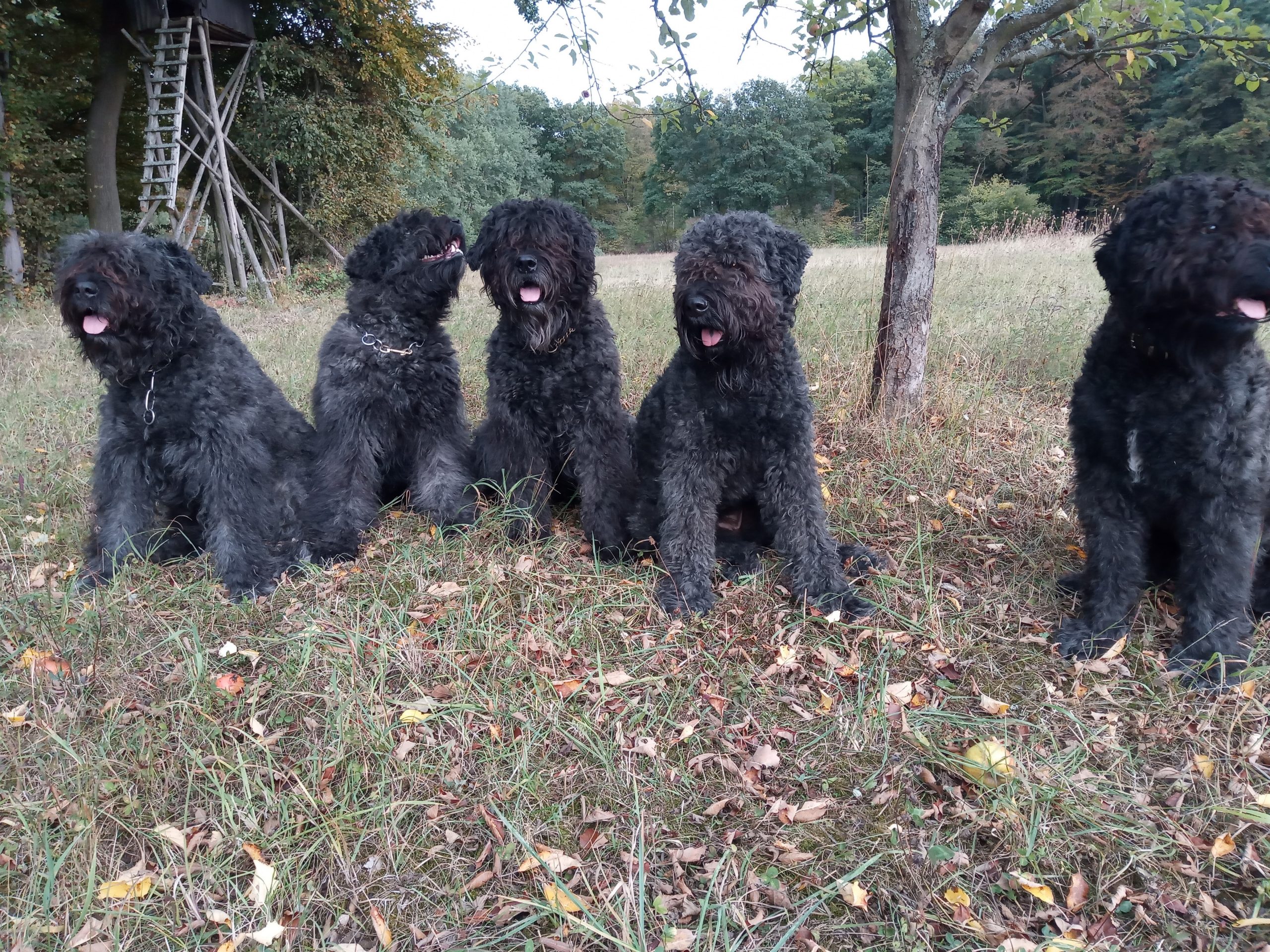 Gruppenbild4