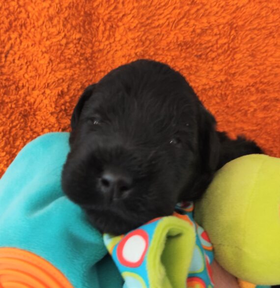 IMG_20230516_084333 (2)