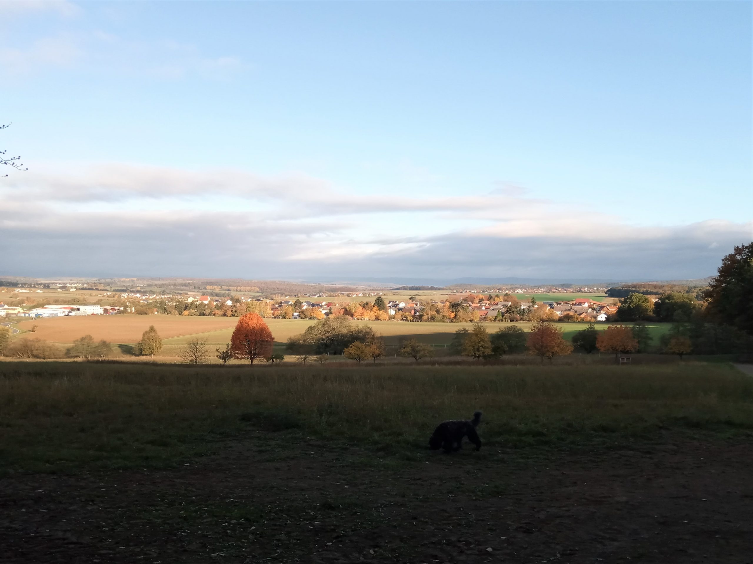 Oberwetz