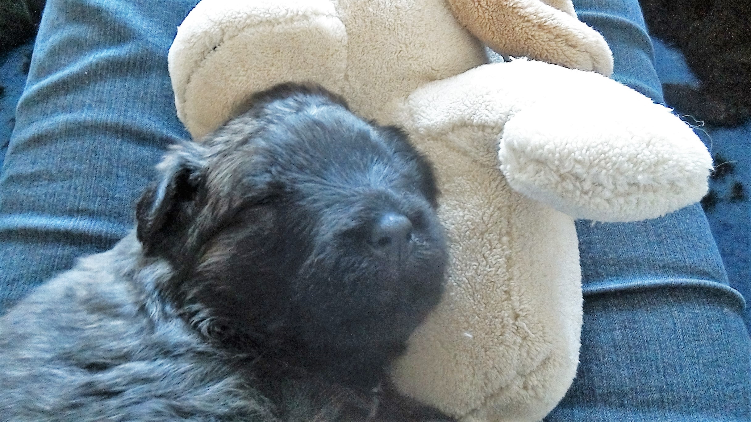 WIN_20160505_19_55_25_Pro