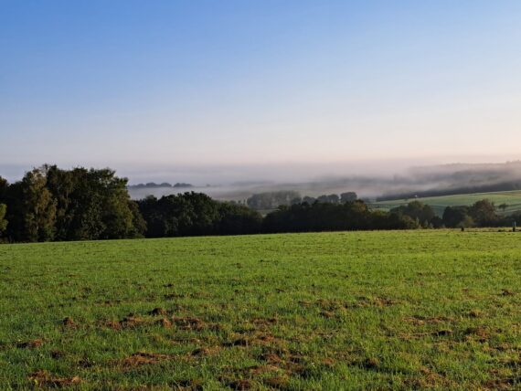 WhatsApp Bild 2023-09-24 um 20.48.43