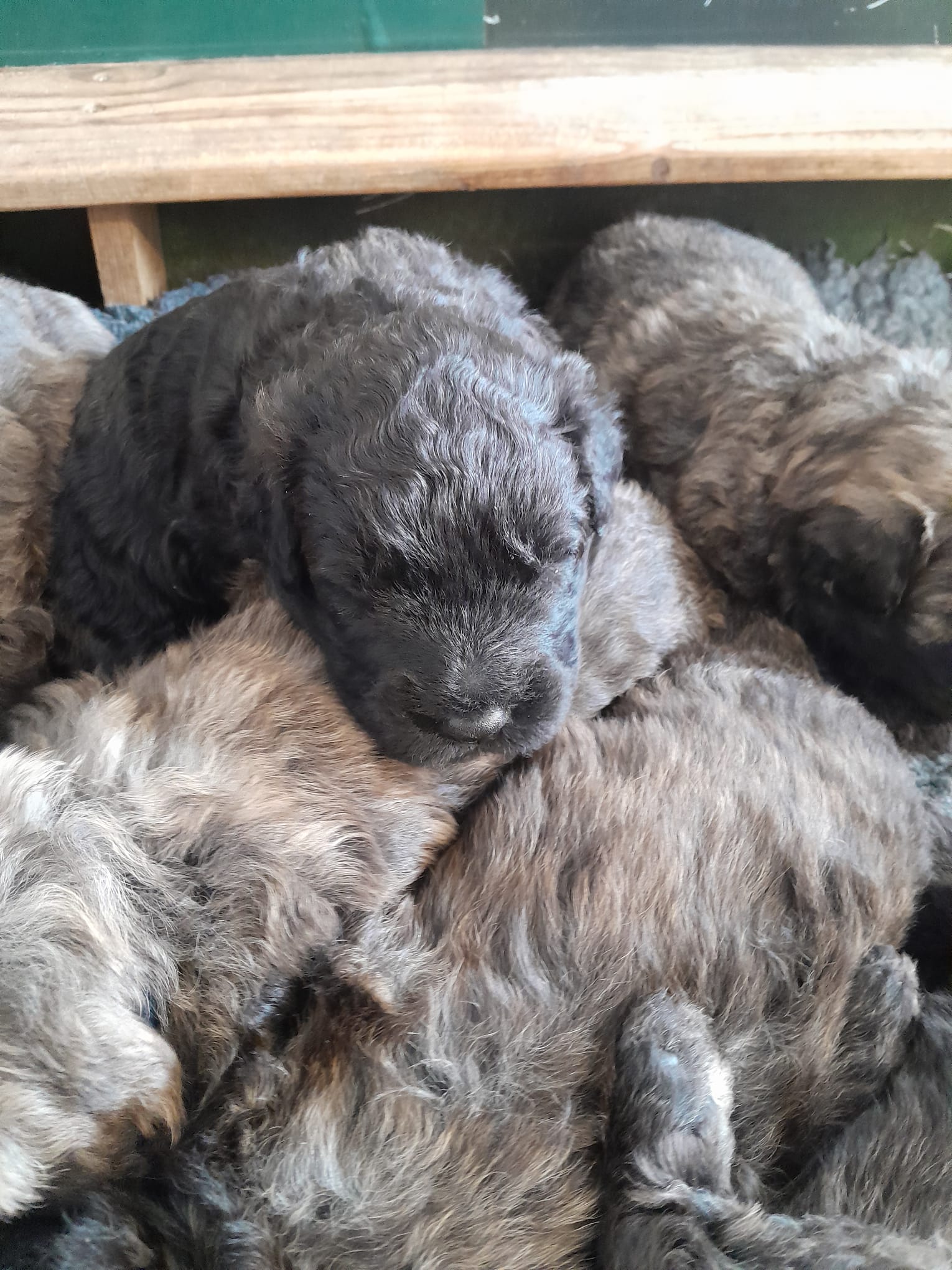 WhatsApp Image 2026-02-16 at 10.55.15