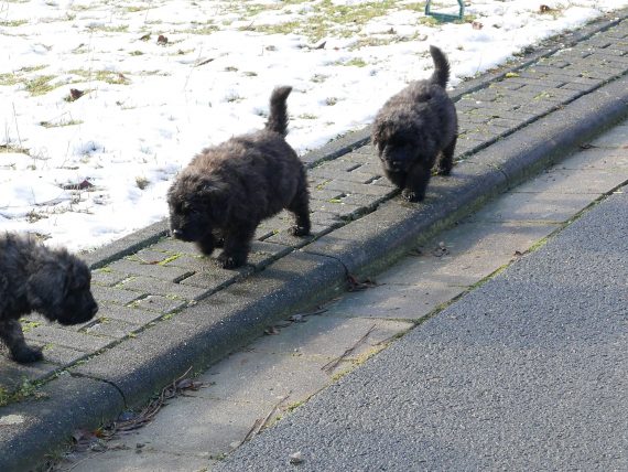 auf dem bürgersteig